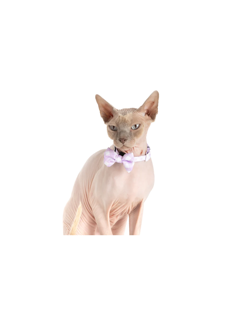Little Kitty Co. Little Kitty Co. Collar & Bowtie | Berry Gingham Small