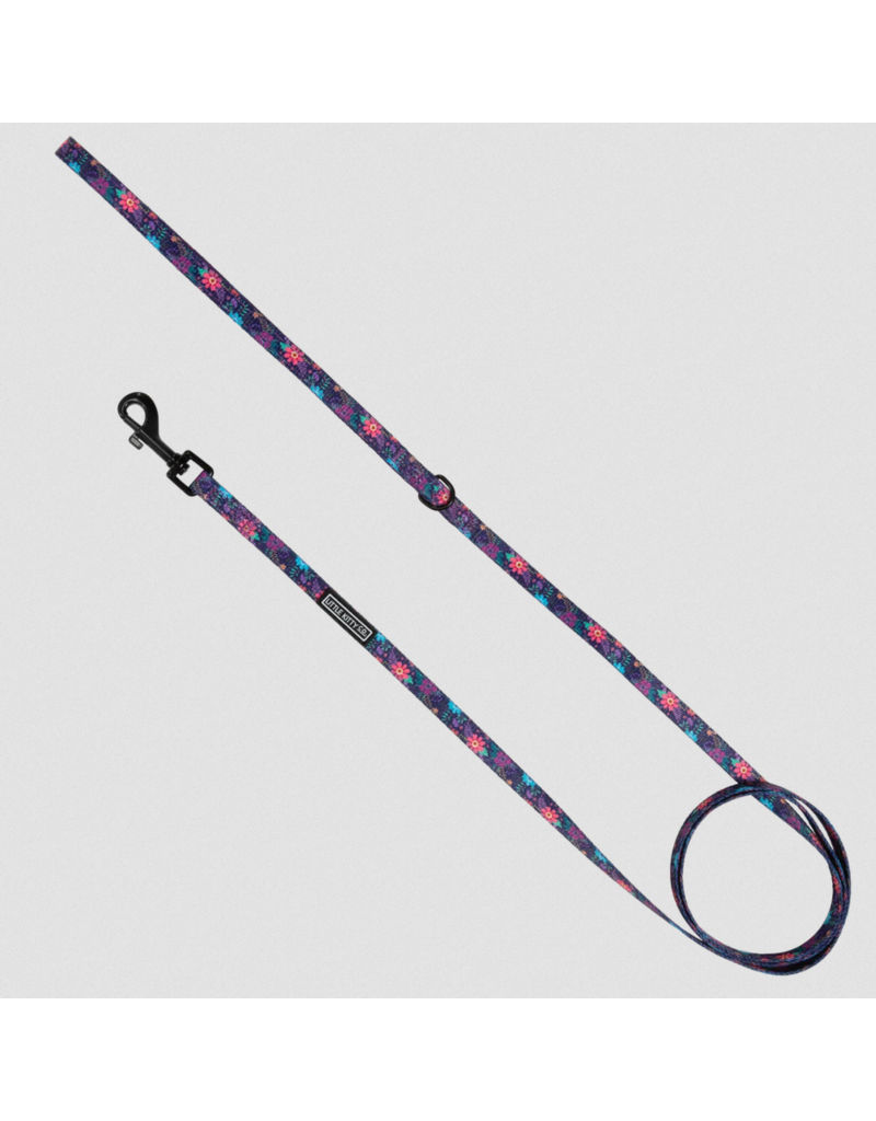 Little Kitty Co. Little Kitty Co. Cat Leash | 1/2" Stop & Smell the Flowers 5'