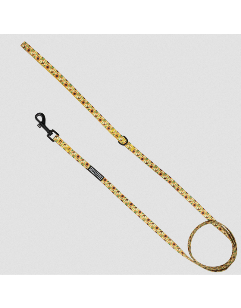 Little Kitty Co. Little Kitty Co. Cat Leash | 1/2" Sunny Vibes 5'