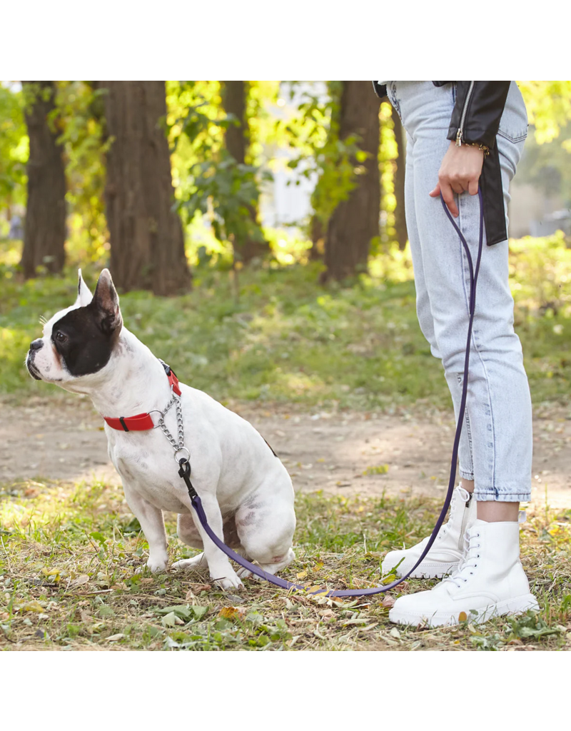 Dogline Dogline Biothane Waterproof 6 ' Leash | 1/2" Neon Orange