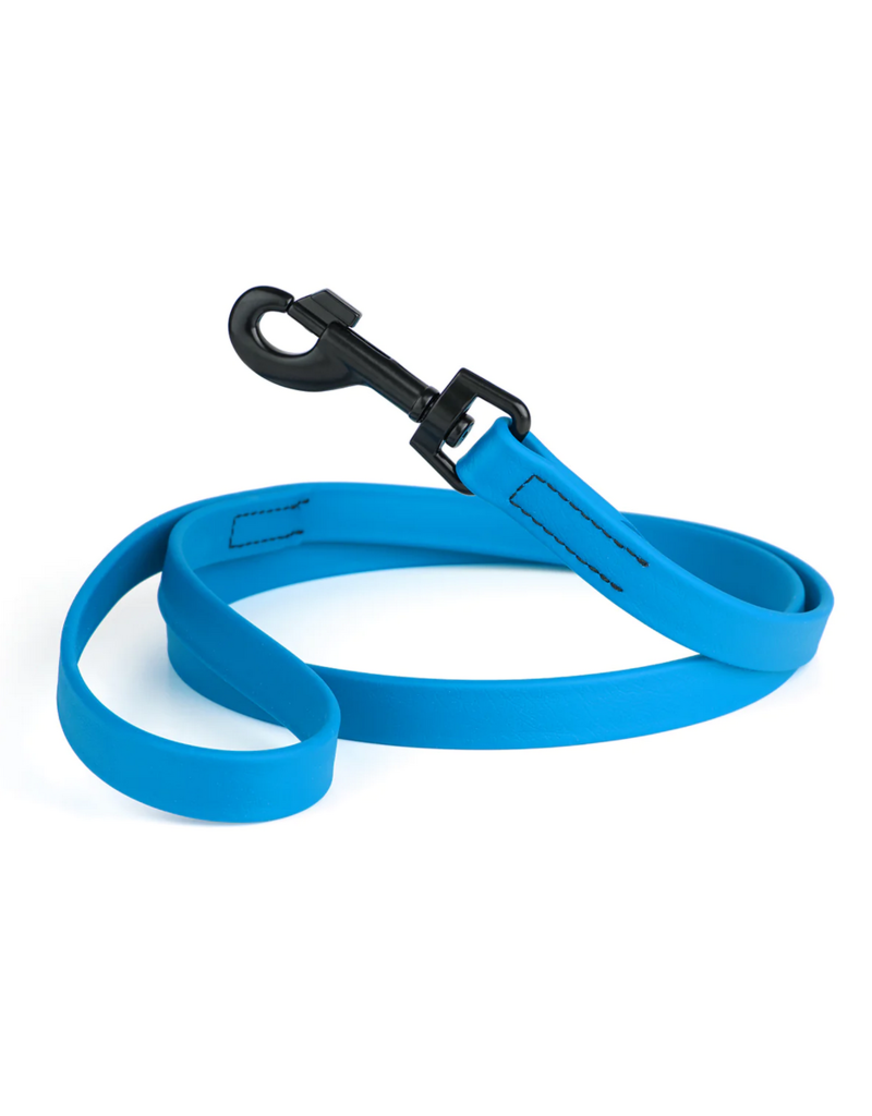 Dogline Dogline Biothane Waterproof 6 ' Leash | 1/2" Blue