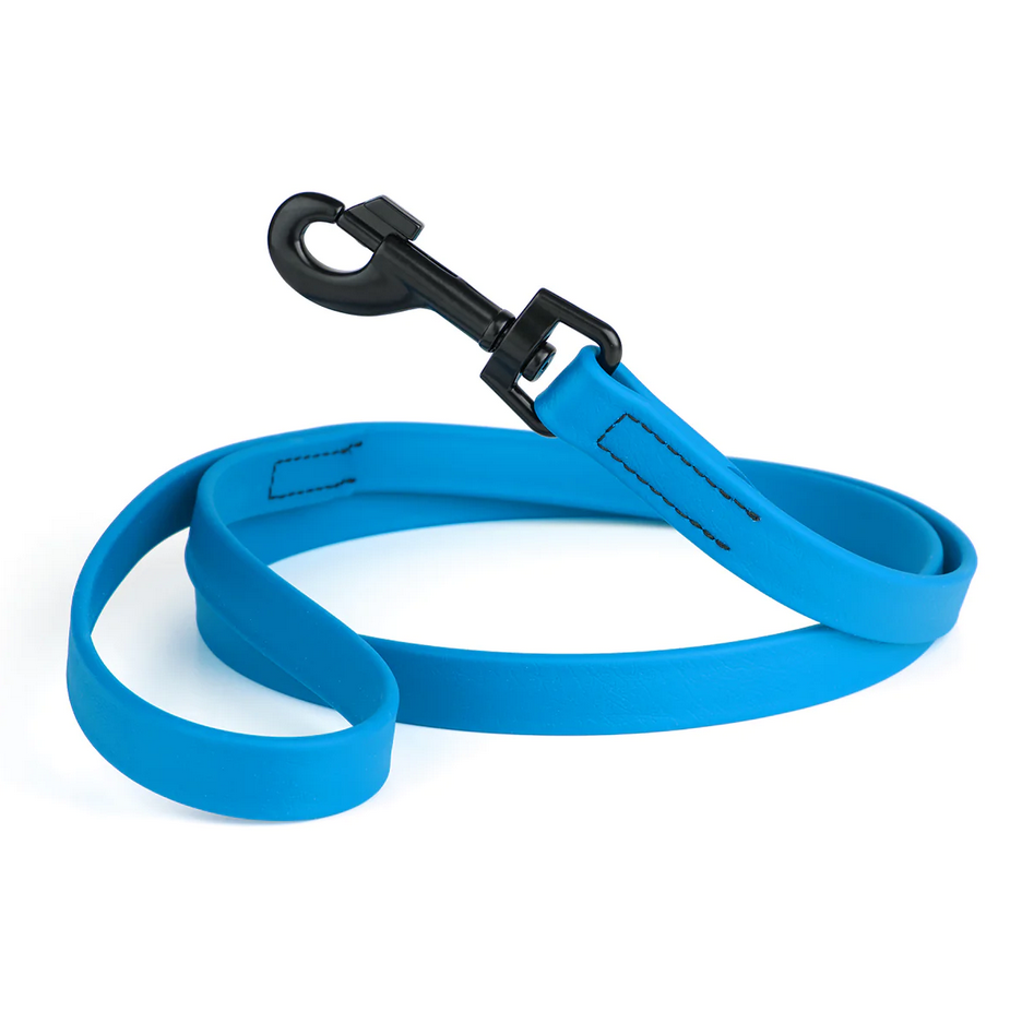 Premium Blue Super Dog Collar and Leash