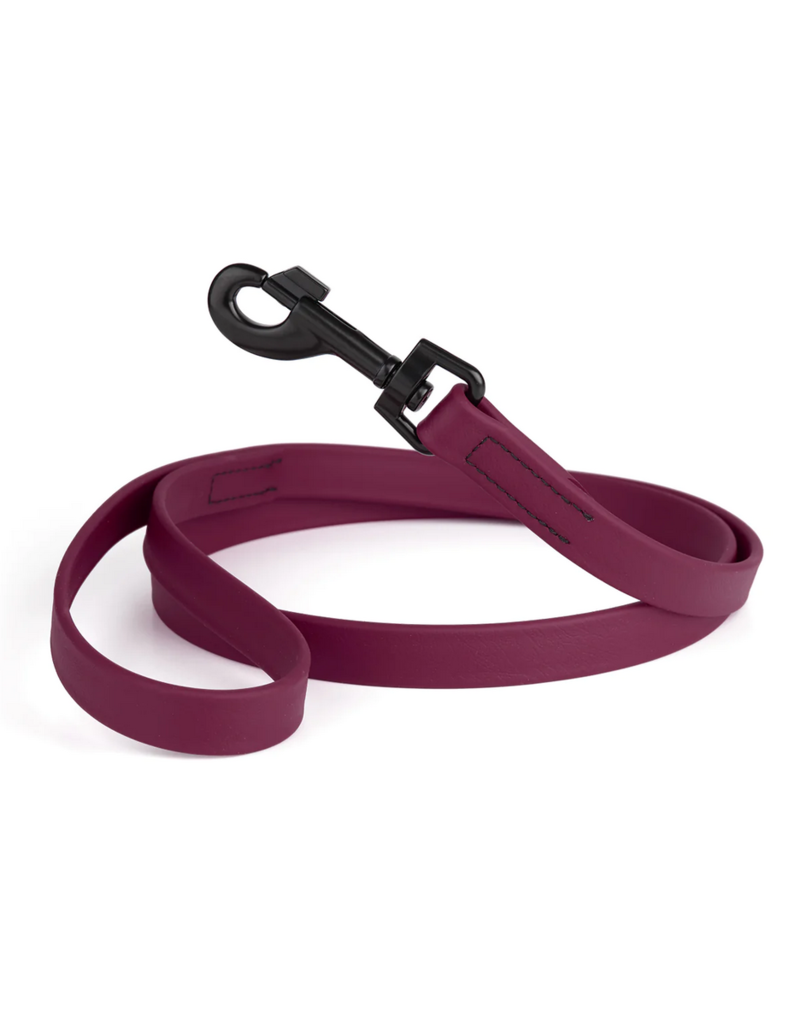 Dogline Dogline Biothane Waterproof 6 ' Leash | 1/2" Berry