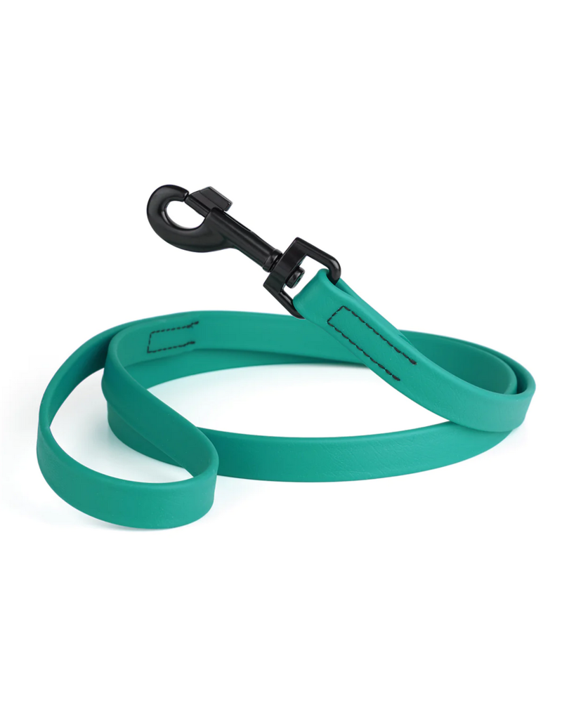 Dogline Dogline Biothane Waterproof 6 ' Leash | 1/2" Teal