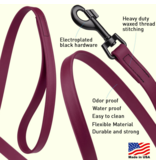 Dogline Dogline Biothane Waterproof 6 ' Leash | 1/2" Teal