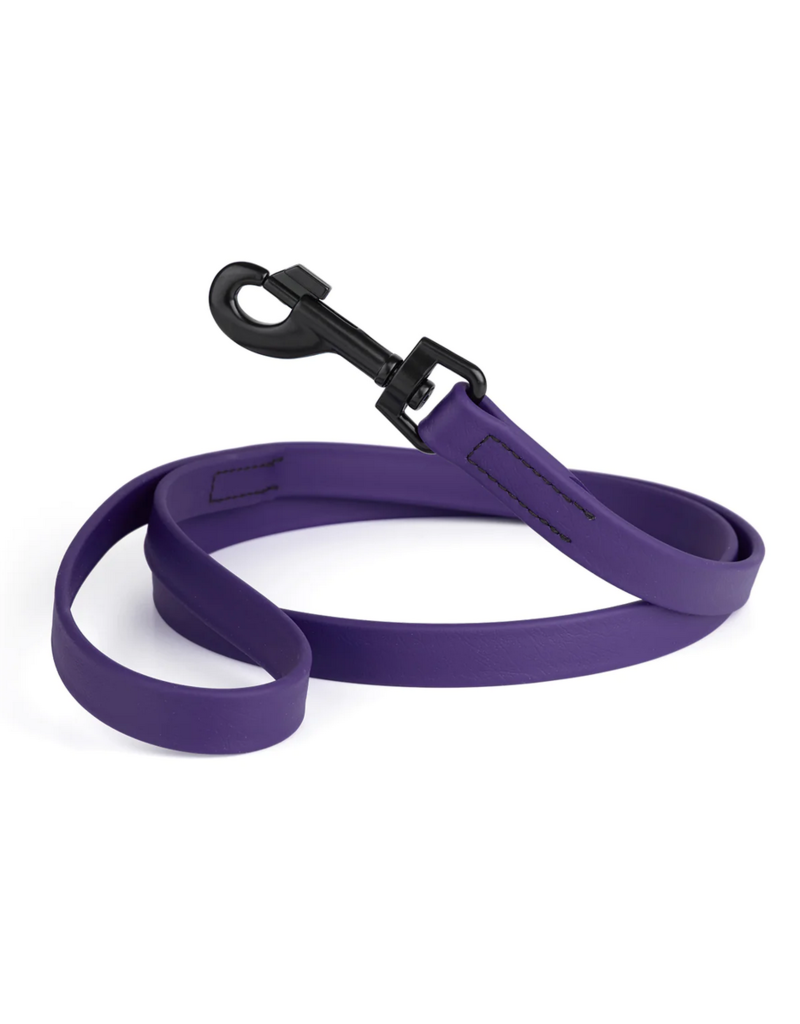 Dogline Dogline Biothane Waterproof 6 ' Leash | 3/4" Purple