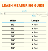 Dogline Dogline Biothane Waterproof 6 ' Leash | 1/2" Red