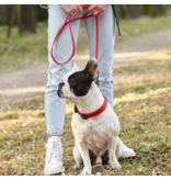 Dogline Dogline Biothane Waterproof 6 ' Leash | 1/2" Red