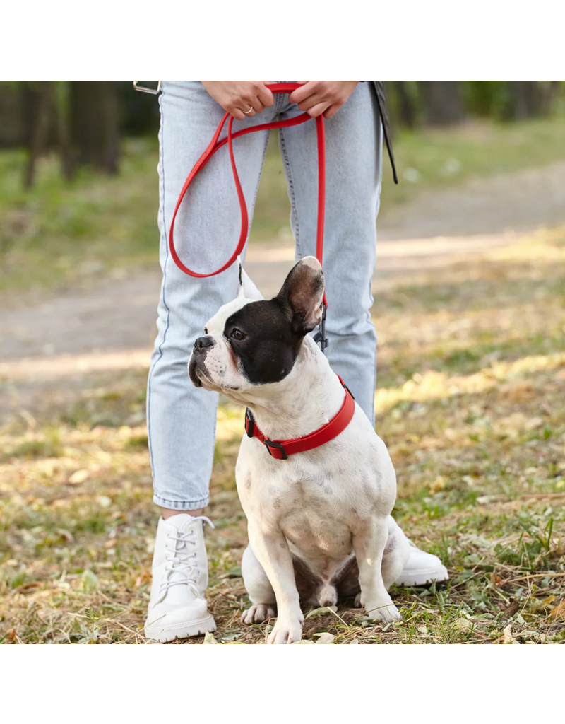 Dogline Dogline Biothane Waterproof 6 ' Leash | 1/2" Red