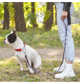 Dogline Dogline Biothane Waterproof 6 ' Leash | 1/2" Red