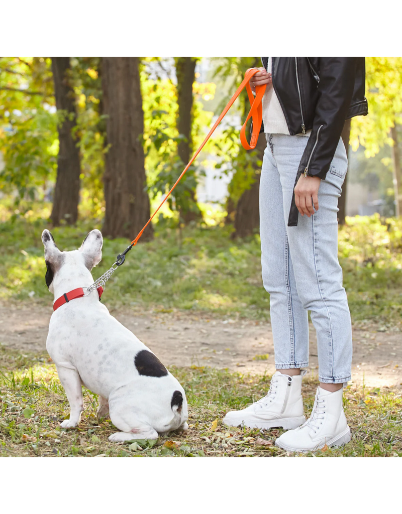 Dogline Dogline Biothane Waterproof 6 ' Leash | 3/4" Neon Orange