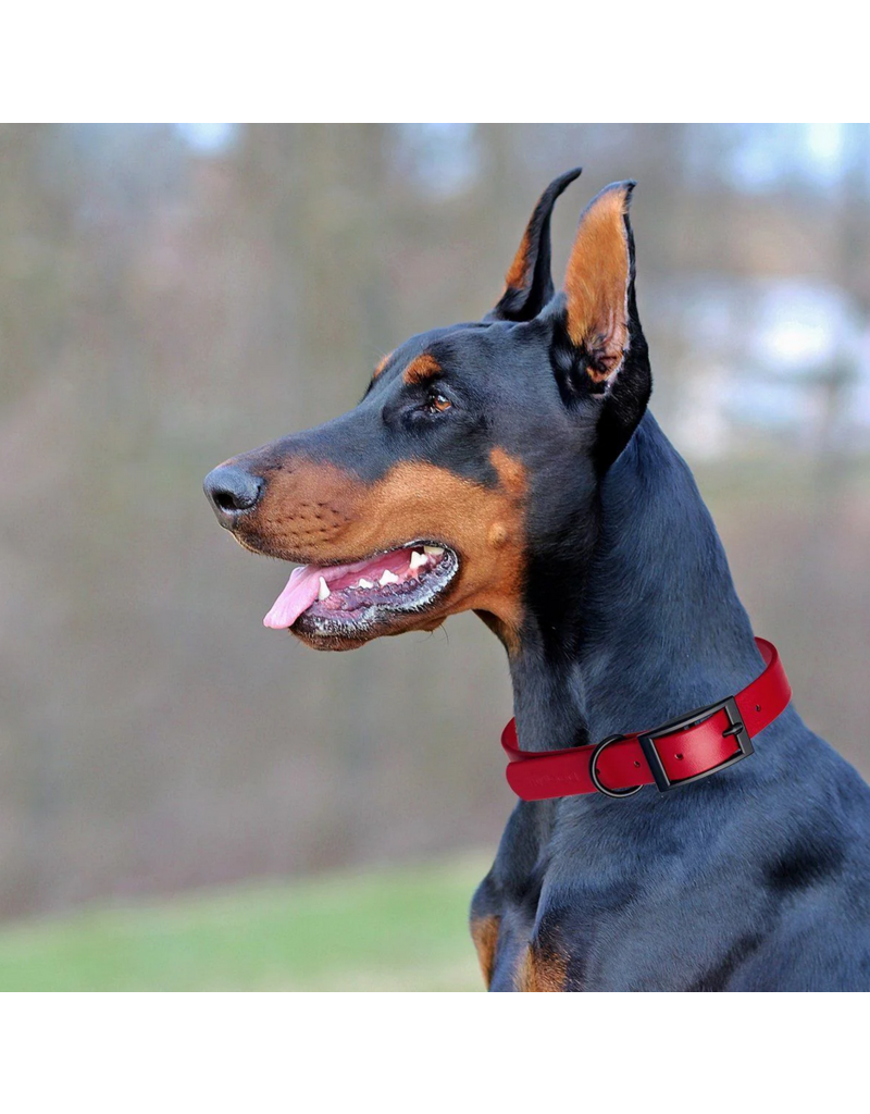 Dogline Dogline Biothane Waterproof Collar 3/4" | 15"-18" Neon Pink