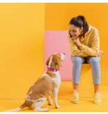 Dogline Dogline Biothane Waterproof Collar 1" | 22"-25" Neon Orange