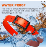 Dogline Dogline Biothane Waterproof Collar 1" | 22"-25" Neon Orange