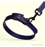 Dogline Dogline Biothane Waterproof Collar 1" | 18"-22" Purple