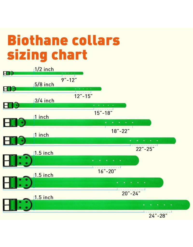 Dogline Dogline Biothane Waterproof Collar 1" | 18"-22" Teal