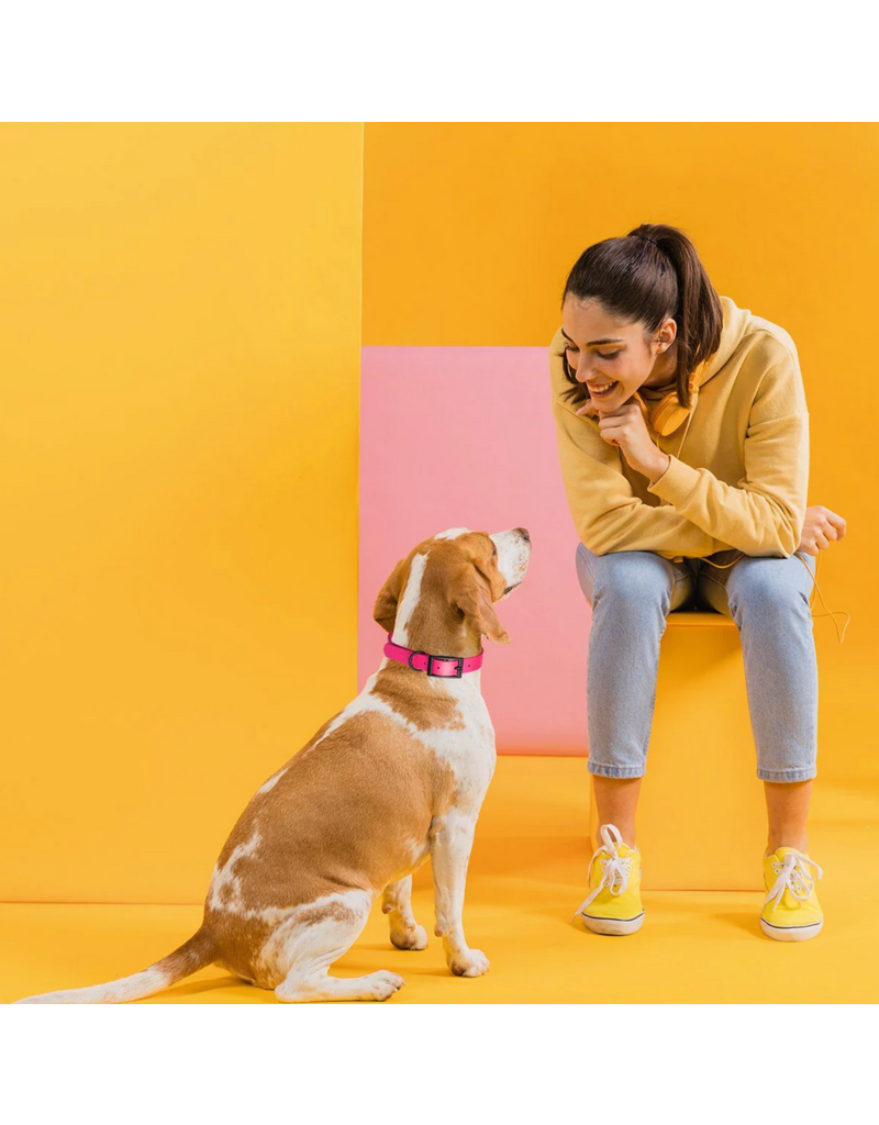 Dogline Dogline Biothane Waterproof Collar 3/4" | 15"-18" Grey