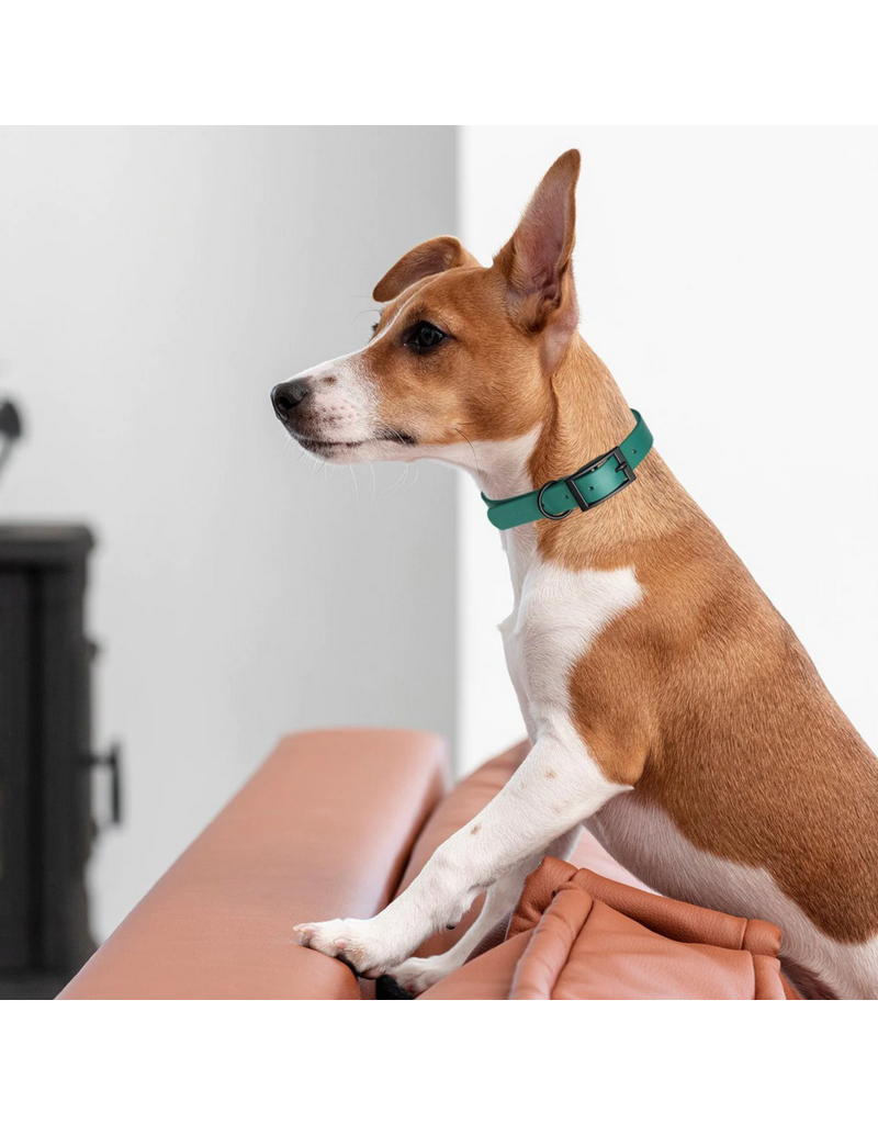 Dogline Dogline Biothane Waterproof Collar 3/4" | 15"-18" Grey