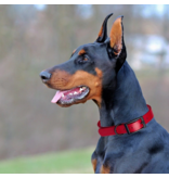 Dogline Dogline Biothane Waterproof Collar 1/2" | 9"-12" Red