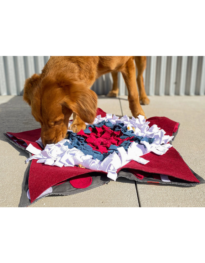 INJOYA, Pizza Snuffle Mat for Dogs & Cats