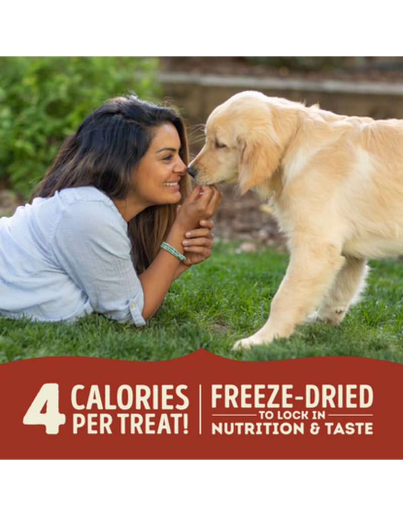 Acana Acana Freeze Dried Dog Treats | Beef & Pumpkin 1.25 oz
