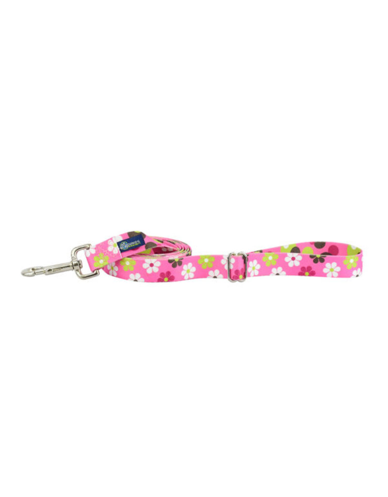 2 Hounds Design 2 Hounds Design Earthstyle | Keystone 6' Leash 5/8", Daisy Dot