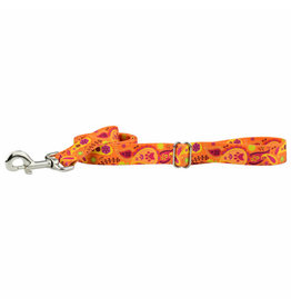 2 Hounds Design 2 Hounds Design Earthstyle | Keystone 6' Leash 5/8", Orange Paisley