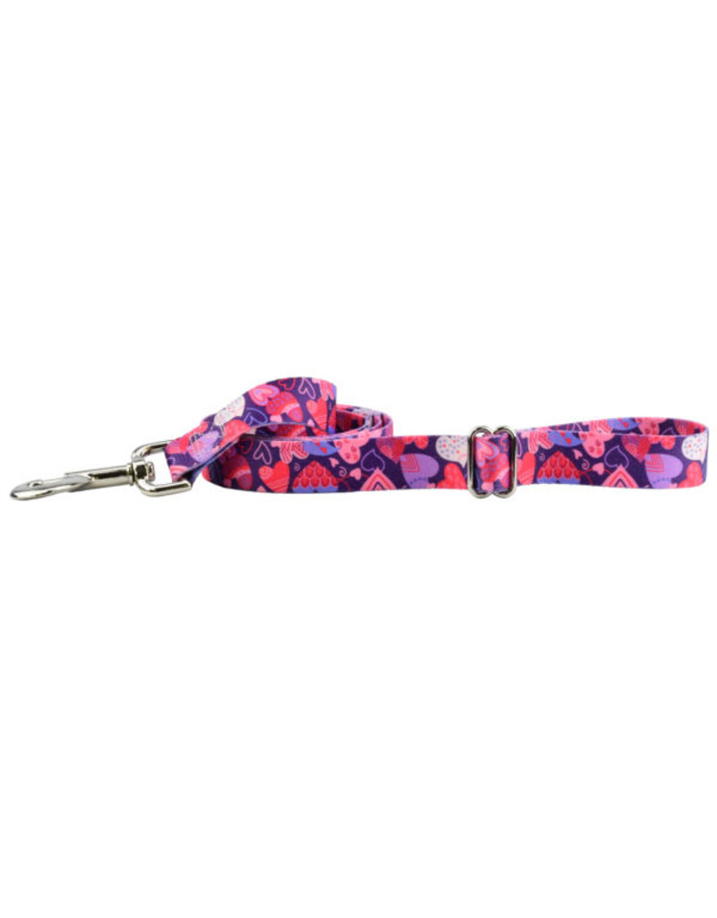 2 Hounds Design 2 Hounds Design Earthstyle | Keystone 6' Leash 1", Wild Hearts