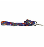 2 Hounds Design 2 Hounds Design Earthstyle | Keystone 6' Leash 1", Love Graffiti Blue