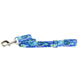 2 Hounds Design 2 Hounds Design Earthstyle | Keystone 6' Leash 5/8", Paw Paisley