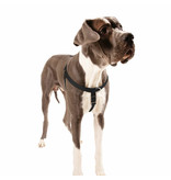 2 Hounds Design 2 Hounds Design Classic | 2XLarge 1" Freedom Harness & Leash -  Black