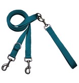 2 Hounds Design 2 Hounds Design Classic | 2XLarge 1" Freedom Harness & Leash -  Teal