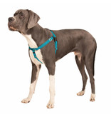 2 Hounds Design 2 Hounds Design Classic | 2XLarge 1" Freedom Harness & Leash -  Teal