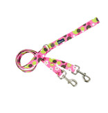 2 Hounds Design 2 Hounds Design Earthstyle | Medium 1" Freedom Harness & Leash - Daisy Dot