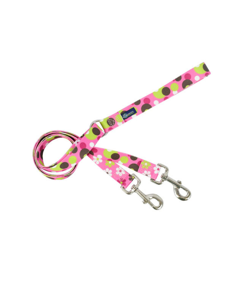 2 Hounds Design 2 Hounds Design Earthstyle | Medium 1" Freedom Harness & Leash - Daisy Dot