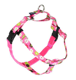 2 Hounds Design 2 Hounds Design Earthstyle | Medium 1" Freedom Harness & Leash - Daisy Dot