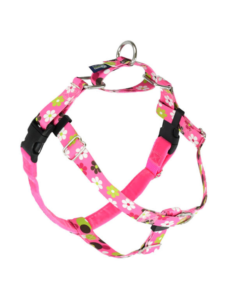 2 Hounds Design 2 Hounds Design Earthstyle | Medium 1" Freedom Harness & Leash - Daisy Dot