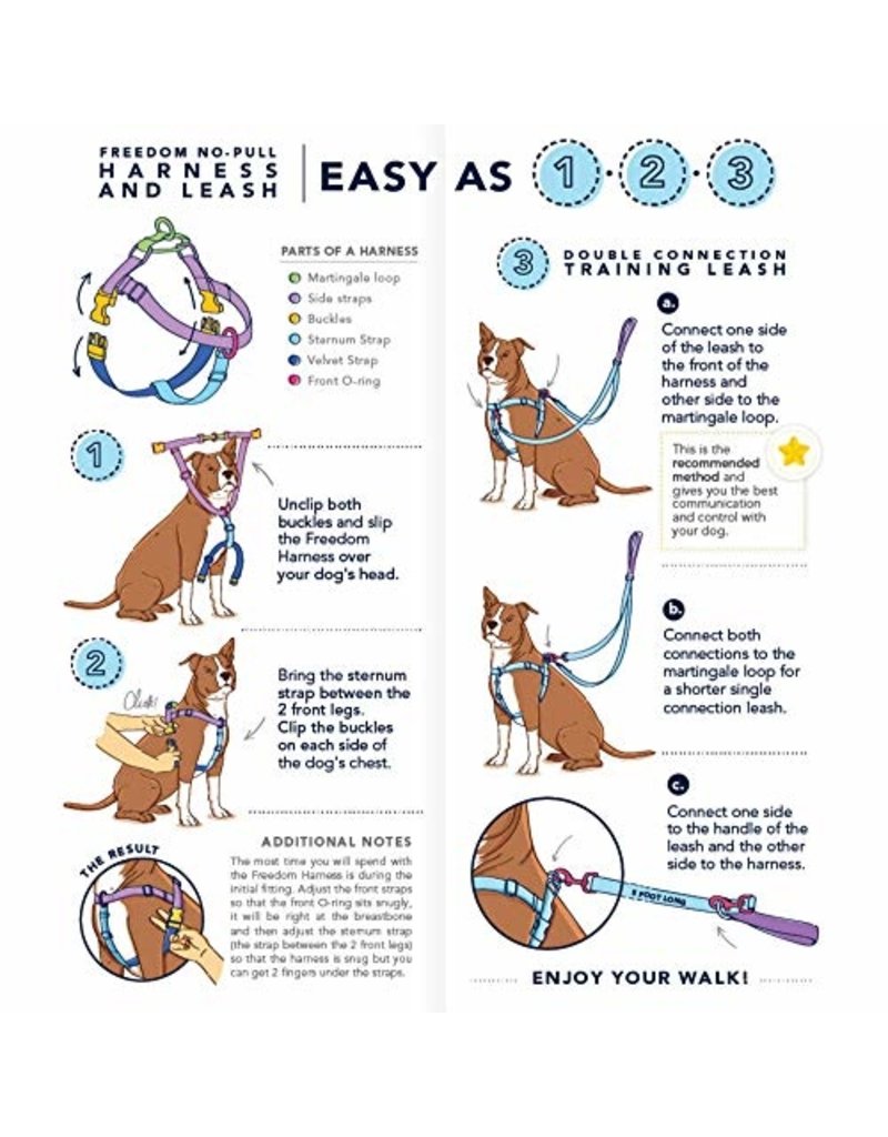 2 Hounds Design 2 Hounds Design Earthstyle | Medium 1" Freedom Harness & Leash - Daisy Dot