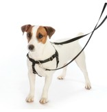 2 Hounds Design 2 Hounds Design Classic | 2XLarge 1" Freedom Harness & Leash -  Black