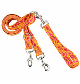 2 Hounds Design 2 Hounds Design Earthstyle | Medium 1" Freedom Harness & Leash - Orange Paisley