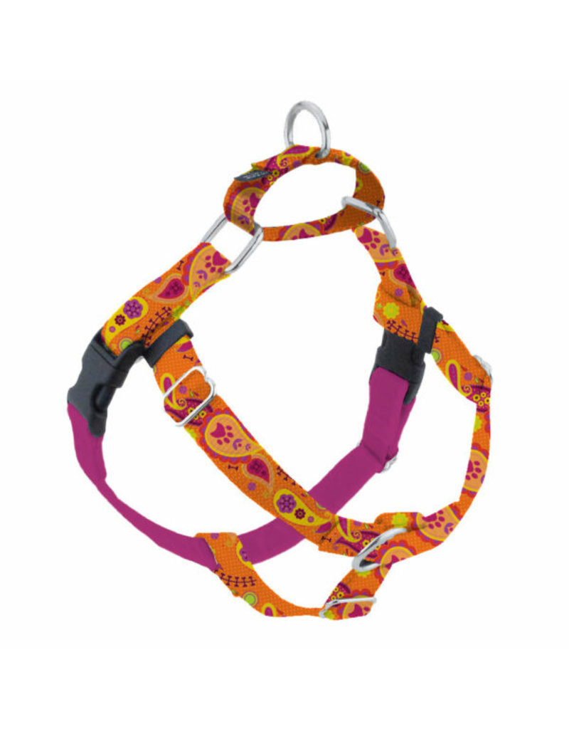 2 Hounds Design 2 Hounds Design Earthstyle | Medium 1" Freedom Harness & Leash - Orange Paisley