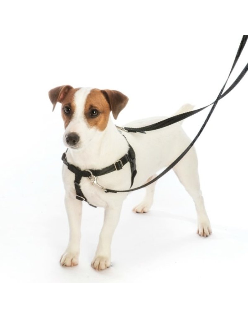 2 Hounds Design 2 Hounds Design Earthstyle | Medium 1" Freedom Harness & Leash - Love Graffiti Red