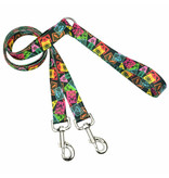 2 Hounds Design 2 Hounds Design Earthstyle | Medium 1" Freedom Harness & Leash - Paper Flags