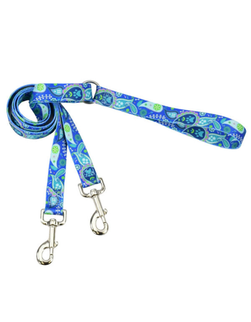 2 Hounds Design 2 Hounds Design Earthstyle | Medium 1" Freedom Harness & Leash - Paw Paisley