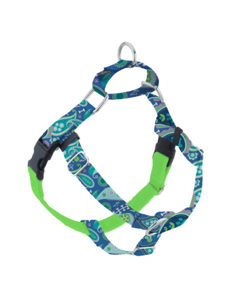 2 Hounds Design 2 Hounds Design Earthstyle | Medium 1" Freedom Harness & Leash - Paw Paisley