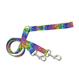 2 Hounds Design 2 Hounds Design Earthstyle | Medium 1" Freedom Harness & Leash - ROY G BIV