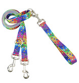 2 Hounds Design 2 Hounds Design Earthstyle | Medium 1" Freedom Harness & Leash - ROY G BIV