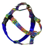 2 Hounds Design 2 Hounds Design Earthstyle | Medium 1" Freedom Harness & Leash - ROY G BIV