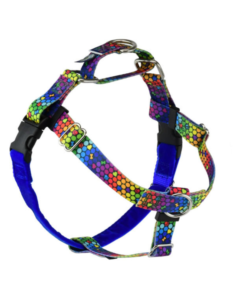 2 Hounds Design 2 Hounds Design Earthstyle | Medium 1" Freedom Harness & Leash - ROY G BIV