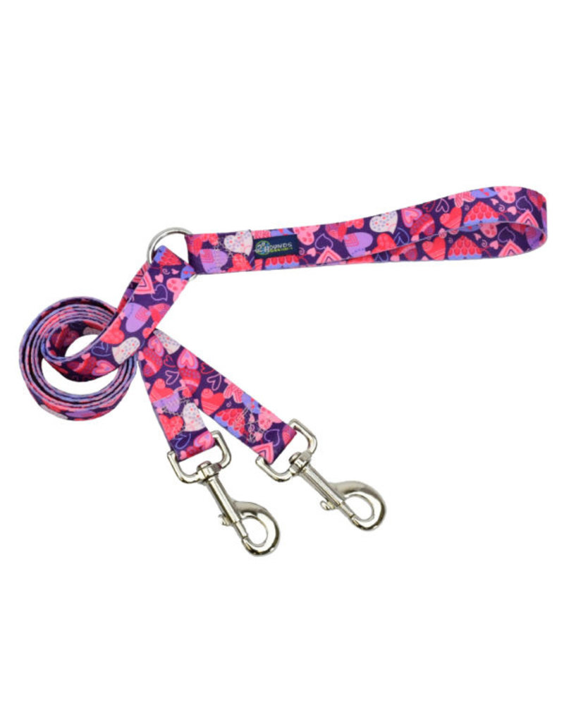 2 Hounds Design 2 Hounds Design Earthstyle | Medium 1" Freedom Harness & Leash - Wild Hearts
